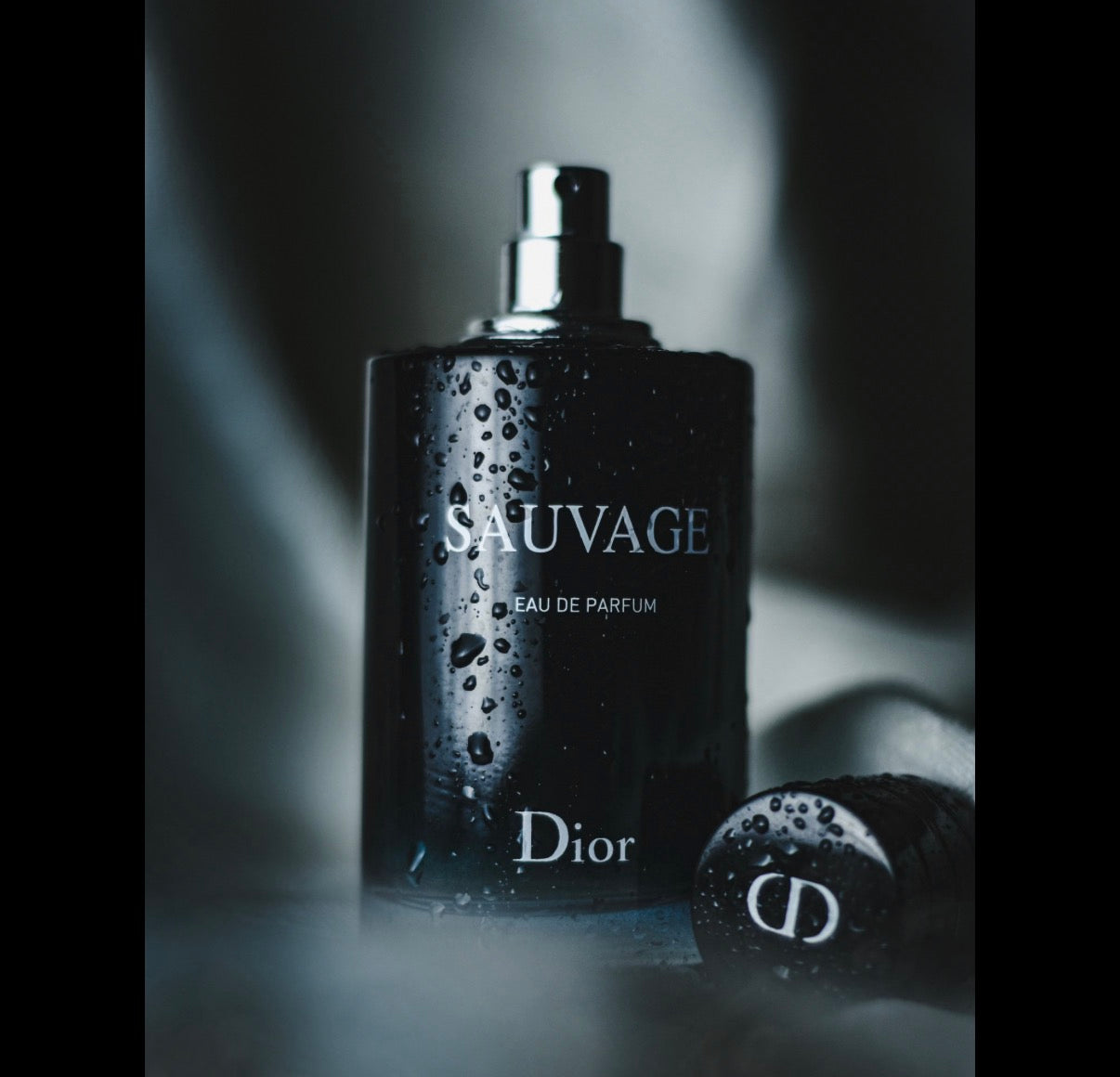 Dior Savage Eau de Perfum